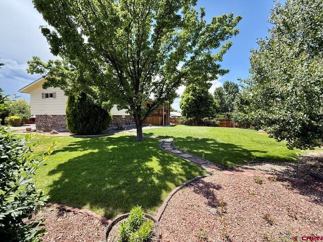 2343 Oldham Way, Montrose, CO 81401 - view of yard