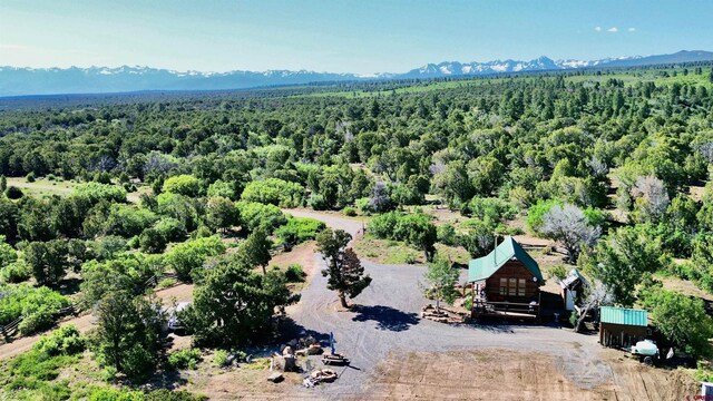 1165 Timber Ridge Rd, Montrose, CO 81401 - aerial view of property and surrounding area with a mountain backdrop