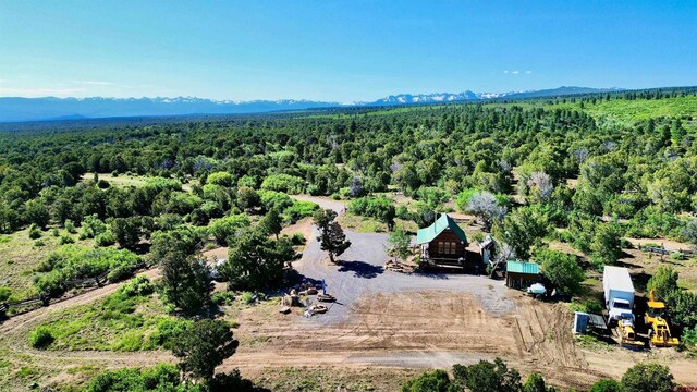 1165 Timber Ridge Rd, Montrose, CO 81401 - bird's eye view of a forest and mountains