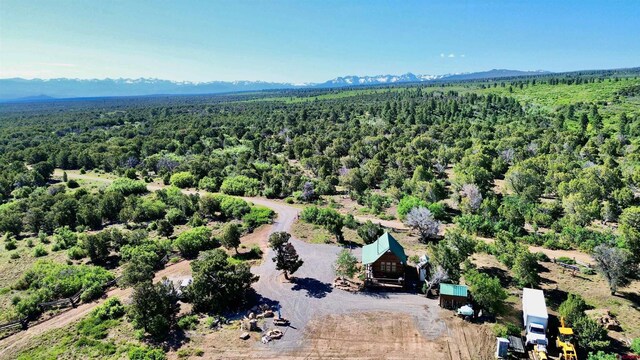 1165 Timber Ridge Rd, Montrose, CO 81401 - drone / aerial view of a forest and mountains