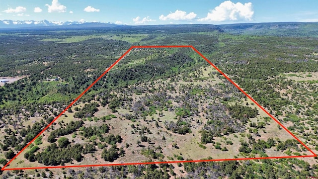 1165 Timber Ridge Rd, Montrose, CO 81401 - view of property location with property boundaries highlighted and a mountain backdrop