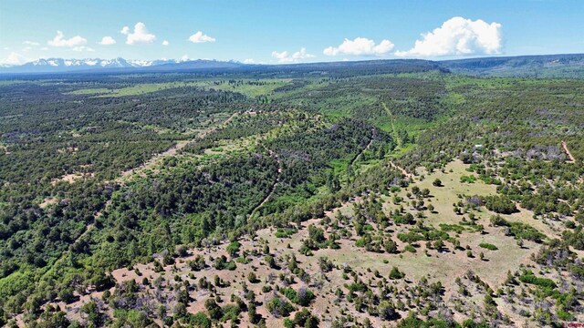 1165 Timber Ridge Rd, Montrose, CO 81401 - drone / aerial view of mountains and a forest