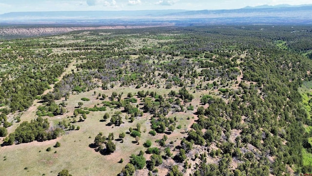 1165 Timber Ridge Rd, Montrose, CO 81401 - aerial view of property's location with a mountain backdrop and a forest