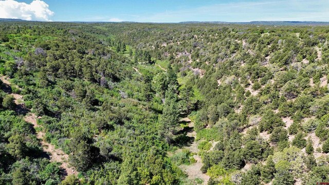1165 Timber Ridge Rd, Montrose, CO 81401 - aerial view of property and surrounding area featuring a forest
