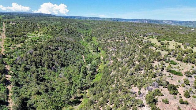 1165 Timber Ridge Rd, Montrose, CO 81401 - bird's eye view of a heavily wooded area