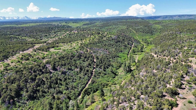 1165 Timber Ridge Rd, Montrose, CO 81401 - aerial view of property's location featuring a heavily wooded area and a mountain backdrop