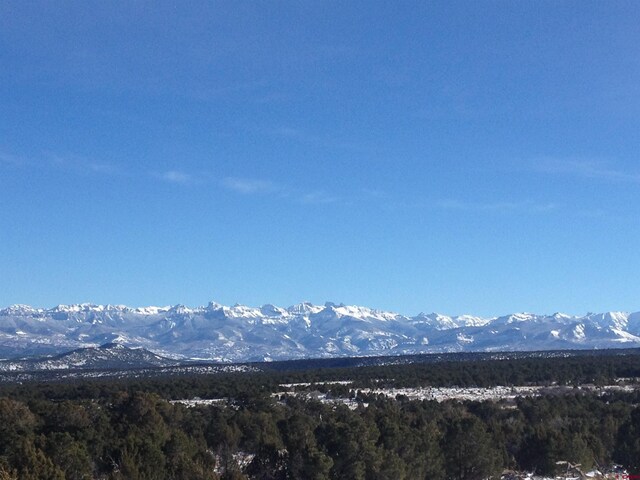 1165 Timber Ridge Rd, Montrose, CO 81401 - mountain view with a heavily wooded area