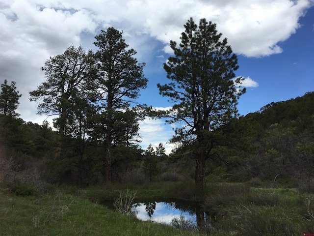 1165 Timber Ridge Rd, Montrose, CO 81401 - water view featuring a heavily wooded area