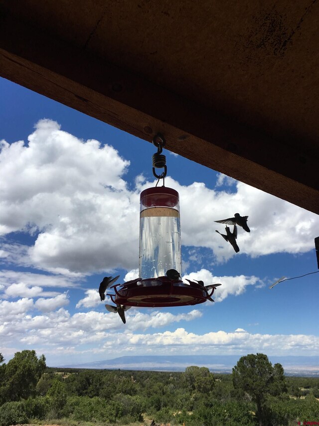 1165 Timber Ridge Rd, Montrose, CO 81401 - exterior view