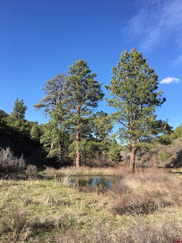 1165 Timber Ridge Rd, Montrose, CO 81401 - view of nature with a large body of water