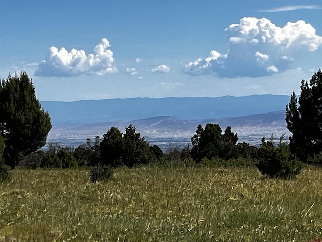 1165 Timber Ridge Rd, Montrose, CO 81401 - view of mountain backdrop