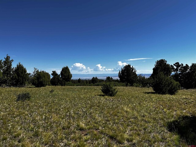 1165 Timber Ridge Rd, Montrose, CO 81401 - view of nature