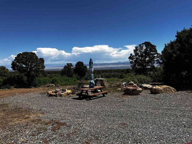 1165 Timber Ridge Rd, Montrose, CO 81401 - view of yard