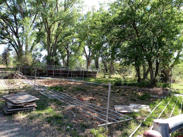 27793 Bb Rd, Nucla, CO 81424 - view of yard