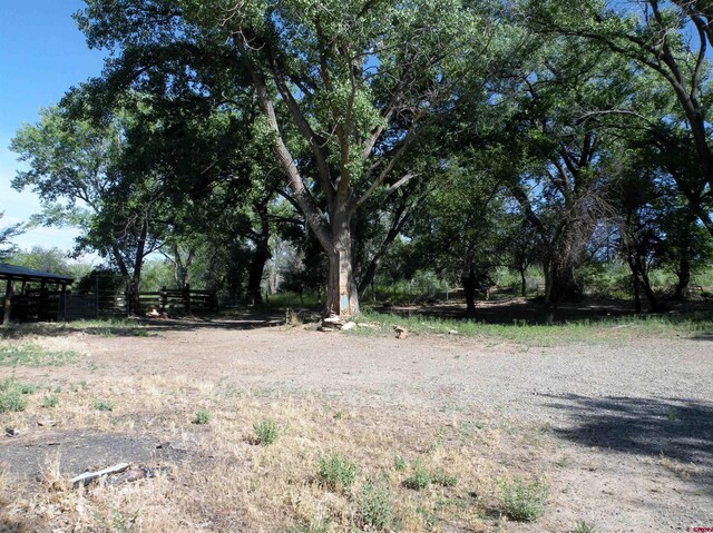 27793 Bb Rd, Nucla, CO 81424 - view of local wilderness