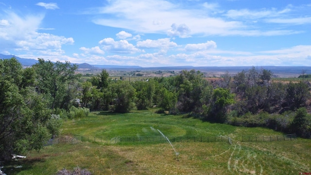 35730 Hanson Mesa Rd, Hotchkiss, CO 81419