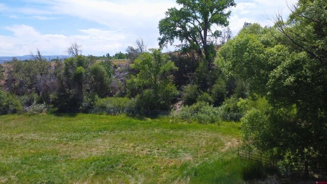 35730 Hanson Mesa Rd, Hotchkiss, CO 81419