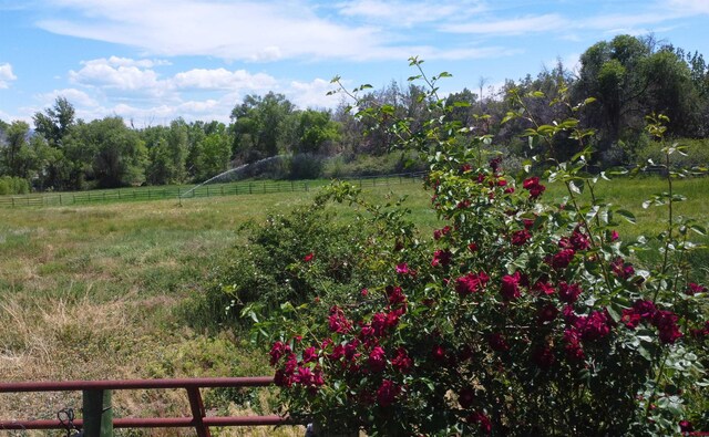 35730 Hanson Mesa Rd, Hotchkiss, CO 81419