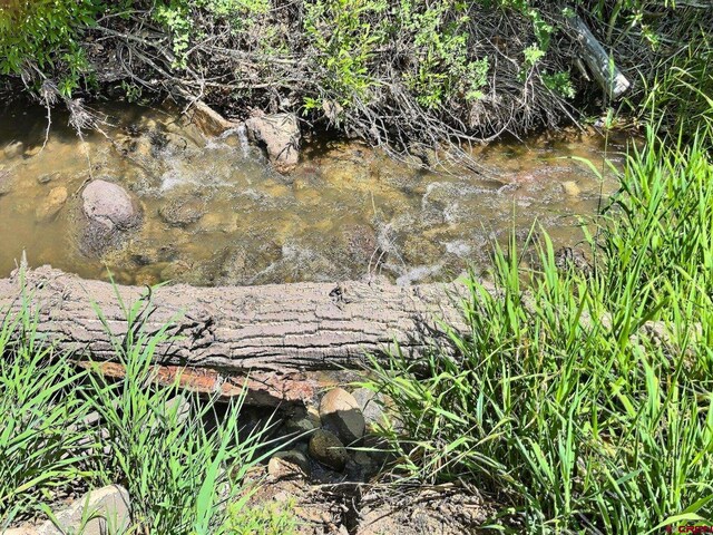 35730 Hanson Mesa Rd, Hotchkiss, CO 81419