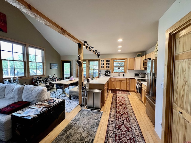 607 Second St Unit B, Crested Butte, CO 81224 - kitchen featuring light wood-style floors, light brown cabinetry, open floor plan, light countertops, and stainless steel appliances