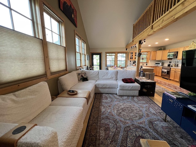 607 Second St Unit B, Crested Butte, CO 81224 - living area with a towering ceiling, light wood-type flooring, and recessed lighting