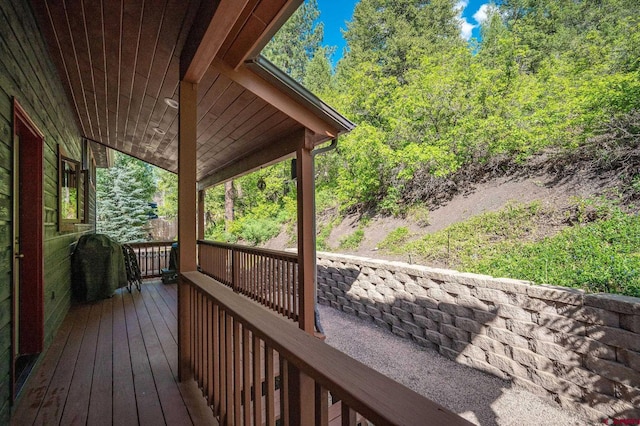 95 Ute Pass W, Durango, CO 81301 - view of deck