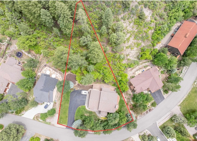 95 Ute Pass W, Durango, CO 81301 - aerial overview of property's location with property boundaries highlighted