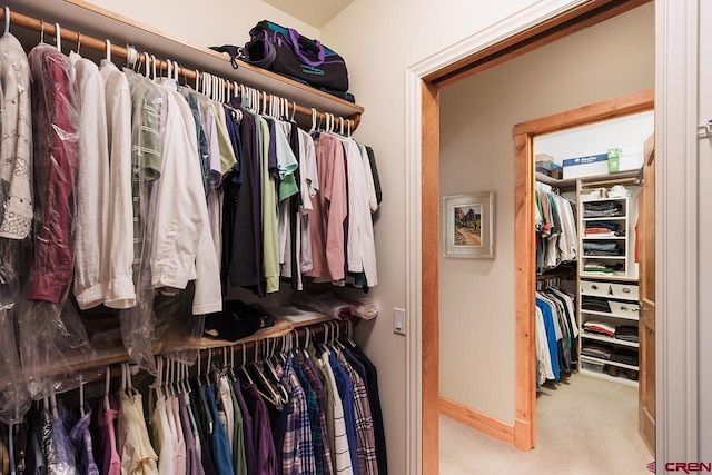 435 Red Rock Rd, Durango, CO 81301 - spacious closet with carpet
