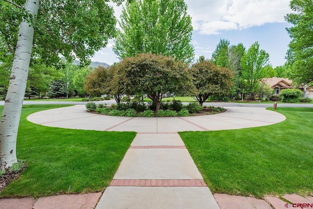 435 Red Rock Rd, Durango, CO 81301 - view of community with a yard