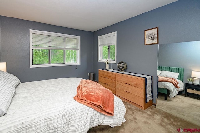 166 Yankee Girl Ct Unit 313, Durango, CO 81301 - bedroom featuring carpet
