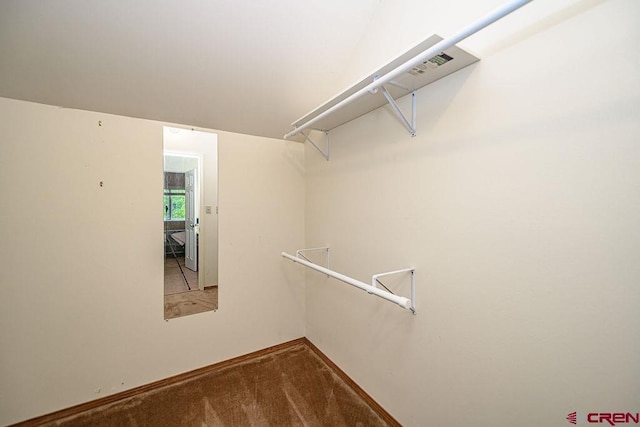 166 Yankee Girl Ct Unit 313, Durango, CO 81301 - spacious closet featuring carpet floors