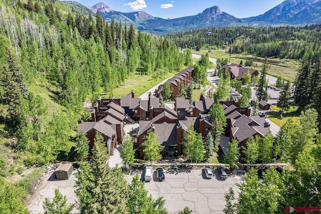 166 Yankee Girl Ct Unit 313, Durango, CO 81301 - bird's eye view of mountains