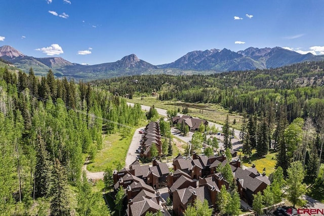 166 Yankee Girl Ct Unit 313, Durango, CO 81301 - mountain view featuring a forest