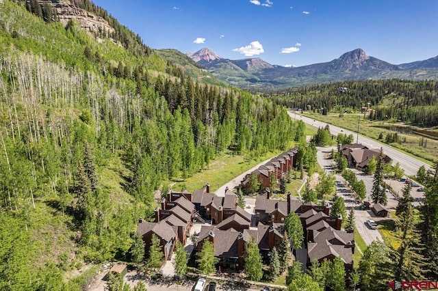 166 Yankee Girl Ct Unit 313, Durango, CO 81301 - view of mountain background with a forest