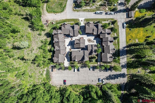 166 Yankee Girl Ct Unit 313, Durango, CO 81301 - bird's eye view