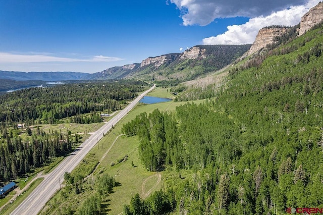 166 Yankee Girl Ct Unit 313, Durango, CO 81301 - mountain view with a forest and a large body of water