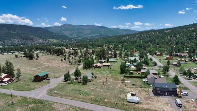 7 Cottonwood Dr, South Fork, CO 81154