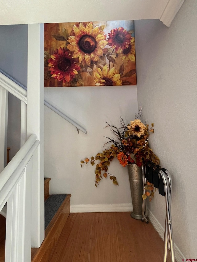 1250 Snowden St, Silverton, CO 81433 - staircase featuring wood finished floors and baseboards