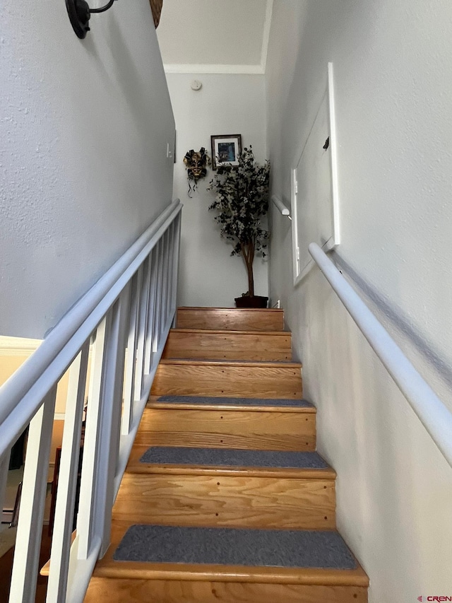 1250 Snowden St, Silverton, CO 81433 - view of stairway