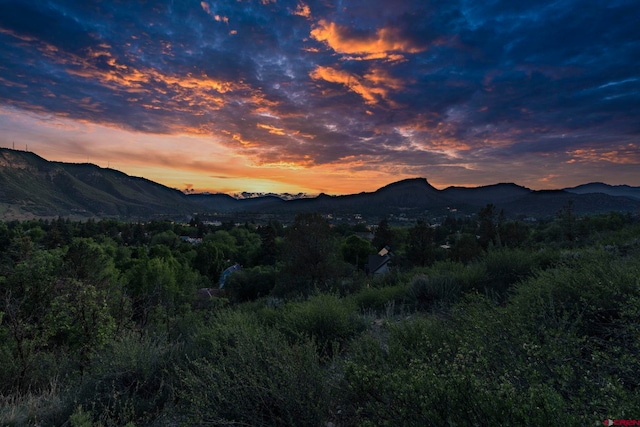 1040 10th Street Pl, Durango, CO 81301