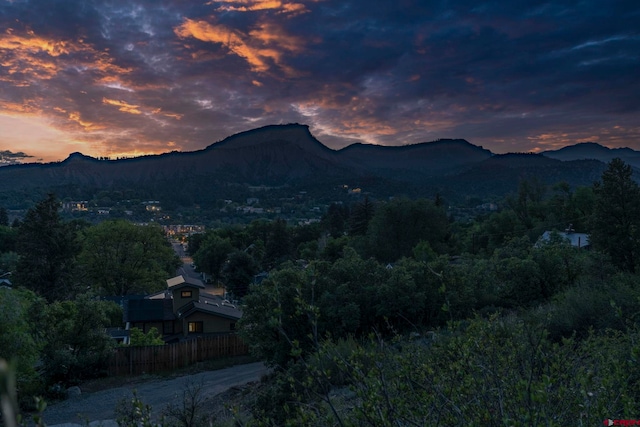 1040 10th Street Pl, Durango, CO 81301
