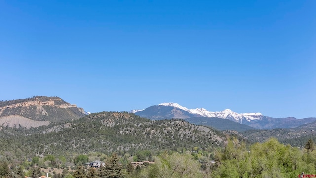 1040 10th Street Pl, Durango, CO 81301