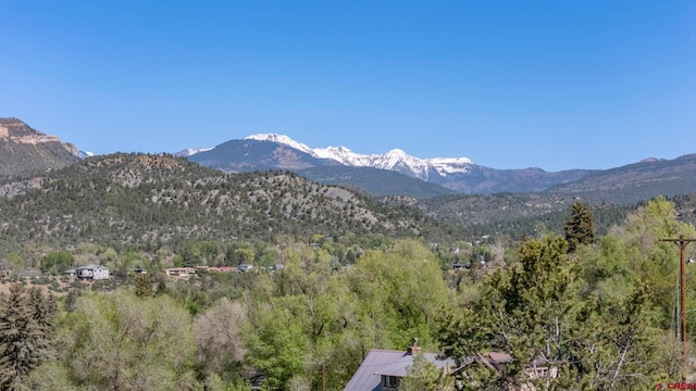 1040 10th Street Pl, Durango, CO 81301