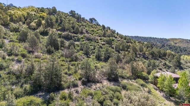 1040 10th Street Pl, Durango, CO 81301
