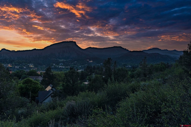 1040 10th Street Pl, Durango, CO 81301