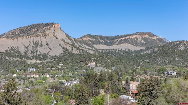 1040 10th Street Pl, Durango, CO 81301