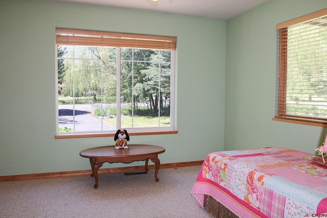 67 Gleneagles Dr, Durango, CO 81301 - bedroom featuring multiple windows and carpet