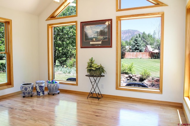 67 Gleneagles Dr, Durango, CO 81301 - entrance foyer featuring hardwood / wood-style flooring, plenty of natural light, and vaulted ceiling