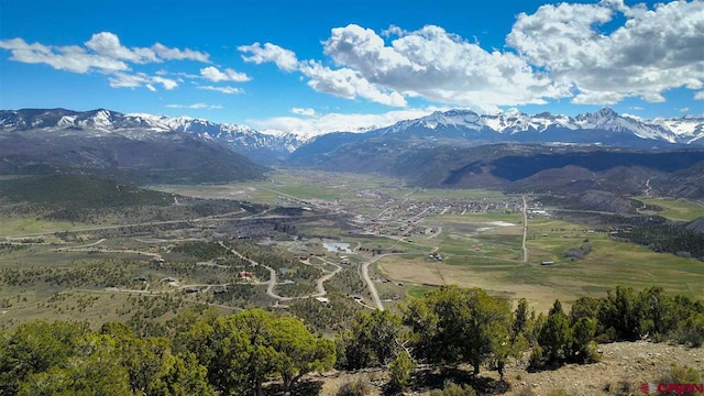 802C Pine Dr, Ridgway, CO 81432