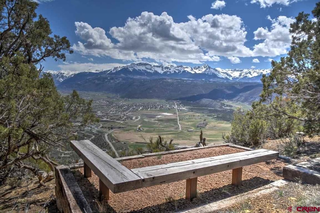 802C Pine Dr, Ridgway, CO 81432